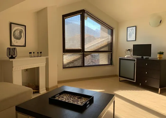 Art In With Mountain View * Bansko